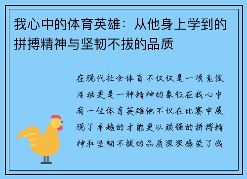 我心中的体育英雄：从他身上学到的拼搏精神与坚韧不拔的品质